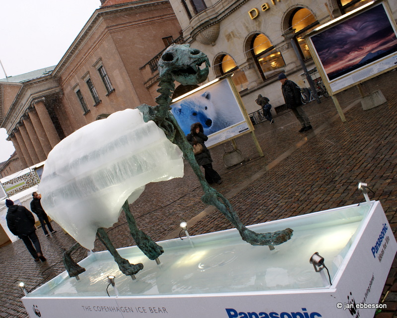 DSC01007.JPG - The Copenhagen Ice Bear på Nytorv