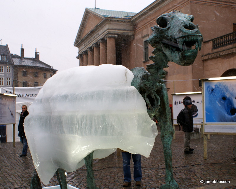 DSC01009.JPG - The Copenhagen Ice Bear på Nytorv