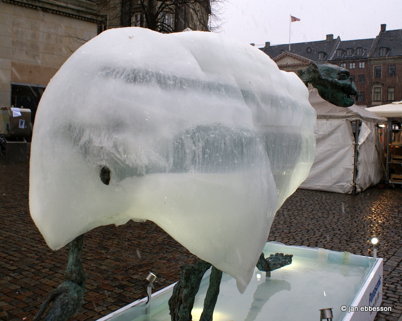 DSC01010.JPG - The Copenhagen Ice Bear på Nytorv