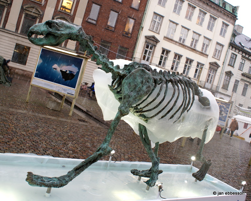 DSC01013.JPG - The Copenhagen Ice Bear på Nytorv