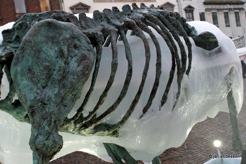 DSC01014.JPG - The Copenhagen Ice Bear på Nytorv