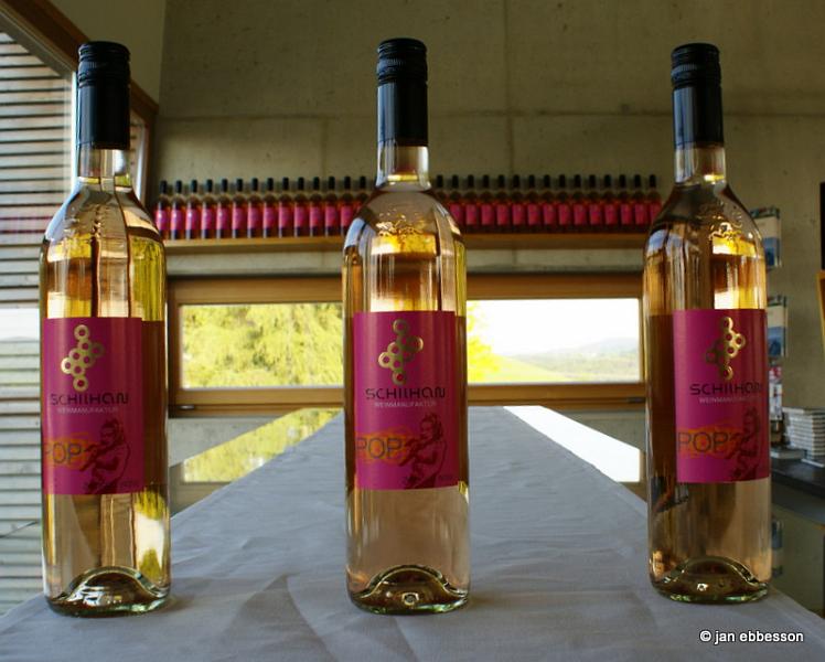 DSC06845.JPG - South Styrian Vineyards - Shilhan Weinmanufaktur