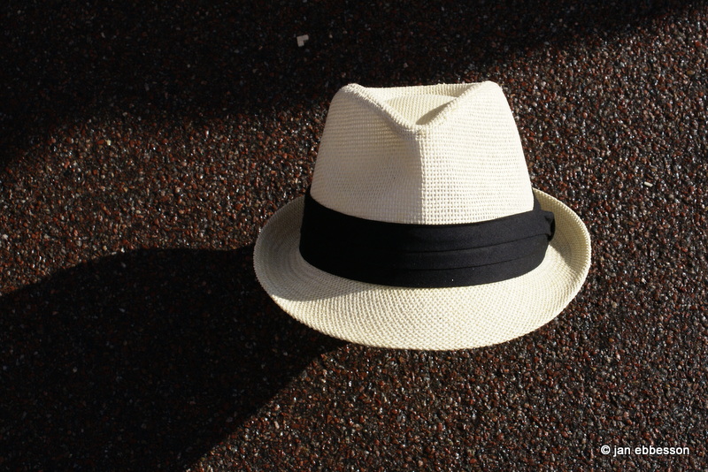 DSC03233.JPG - Jans hatt
