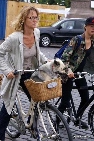 DSC05261.JPG - Alla åker cykel i Köpenhamn