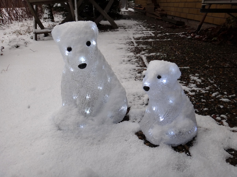 DSC01881.jpg - Isbjörnar gillar snö